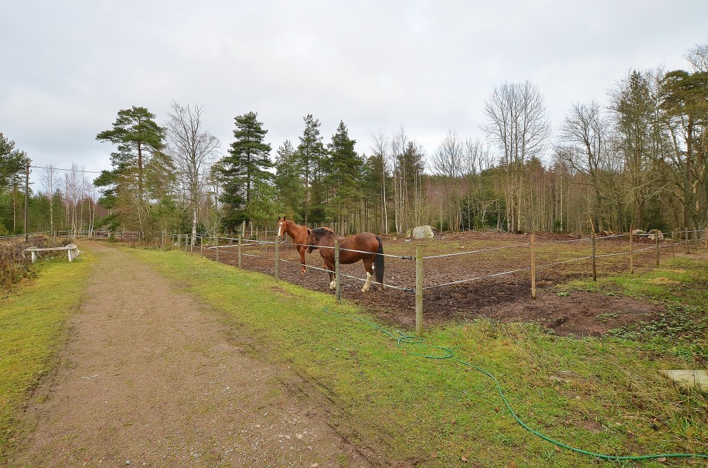 Lilla Tomta 1 – bild 3
