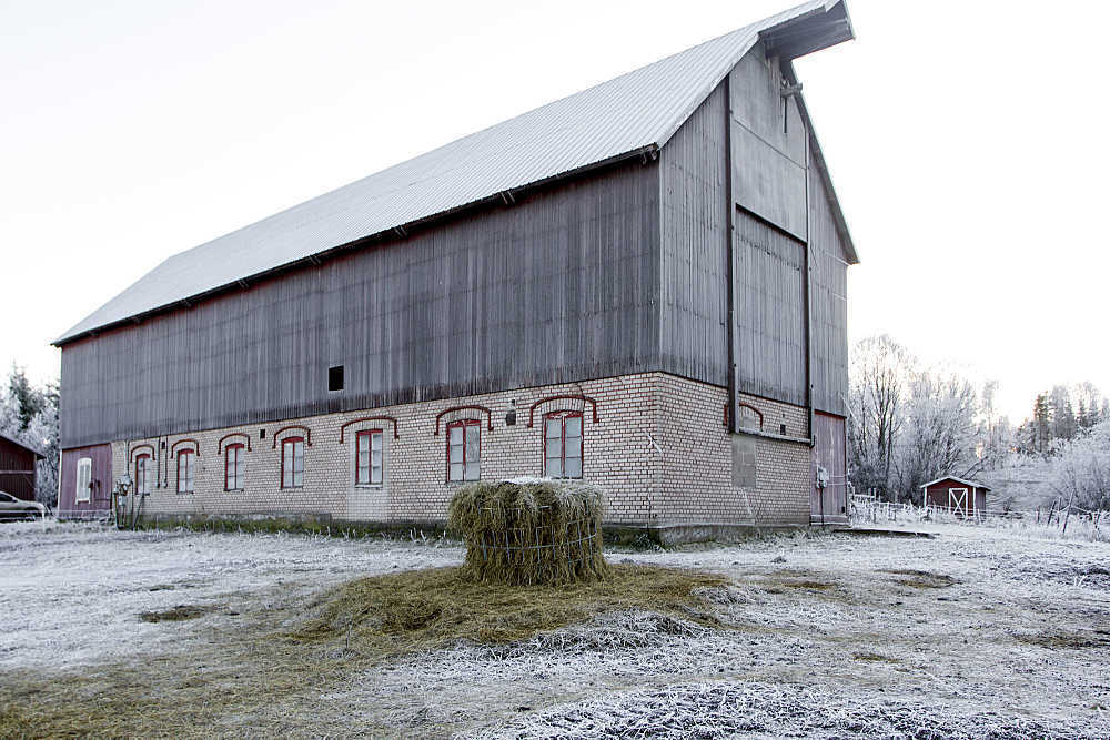 Västnyland 117 – bild 6