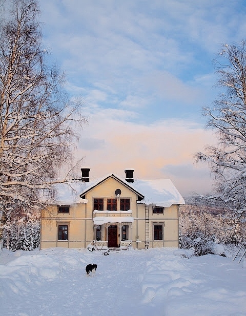 Västnyland 117 – bild 7