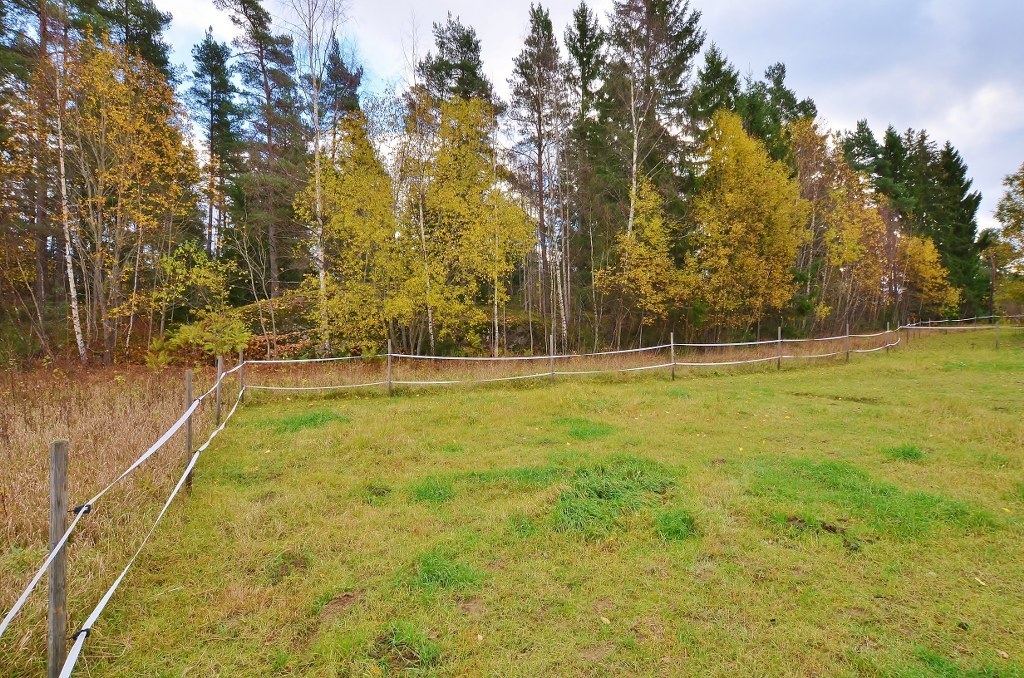Sittesta 21 A – bild 3