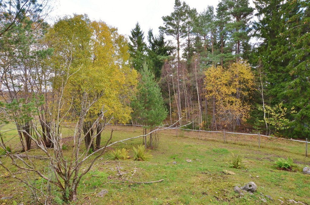 Sittesta 21 A – bild 4