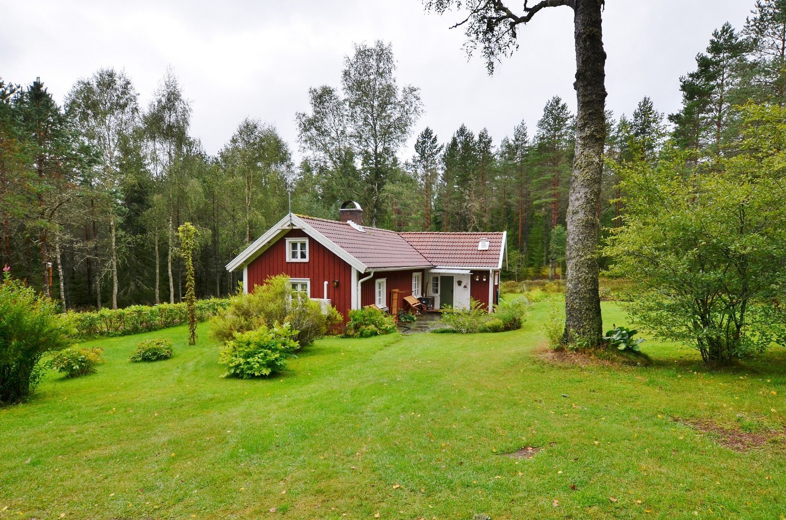 Ljungsarp Sågbacken – bild 6