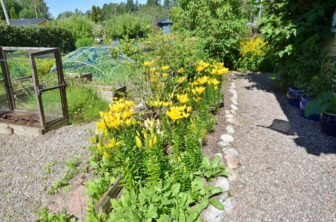Senapsstigen 14 – bild 3