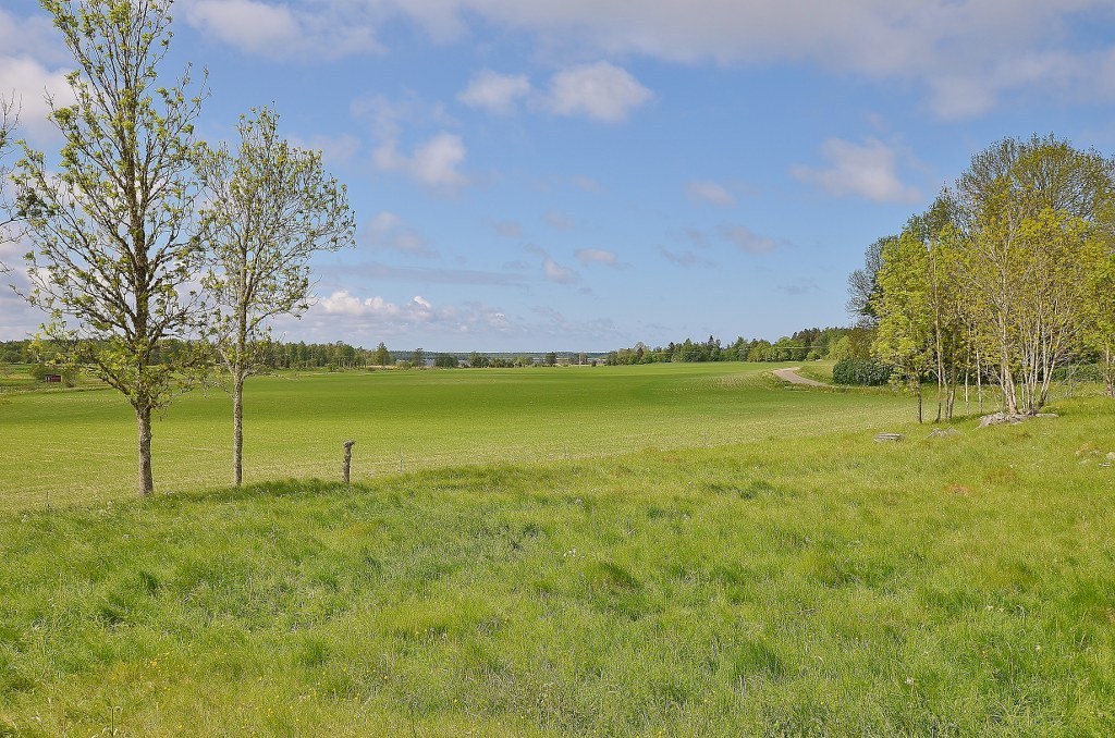 Snesslinge 265 – bild 8