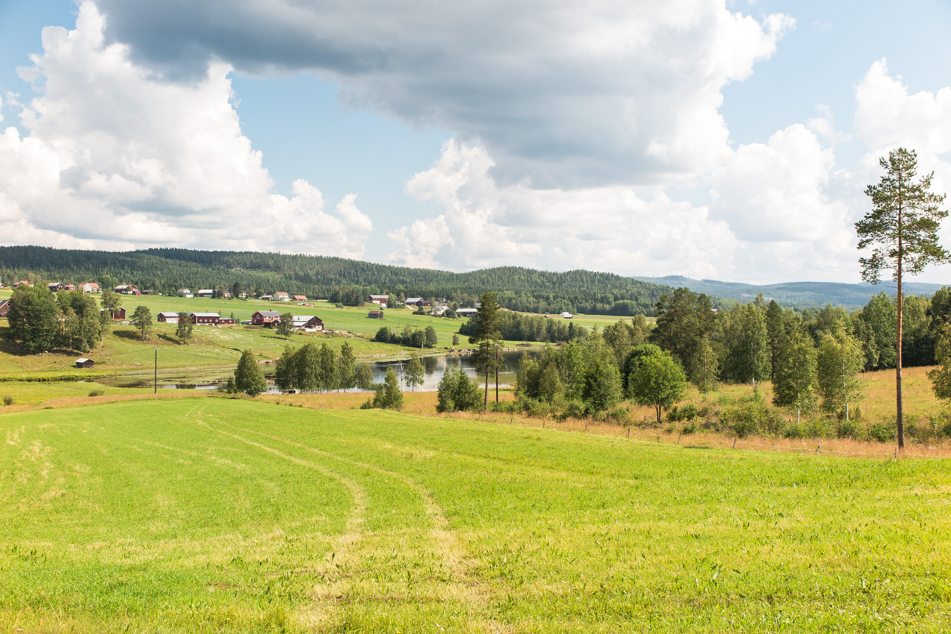 Västergensjö 434 – bild 5