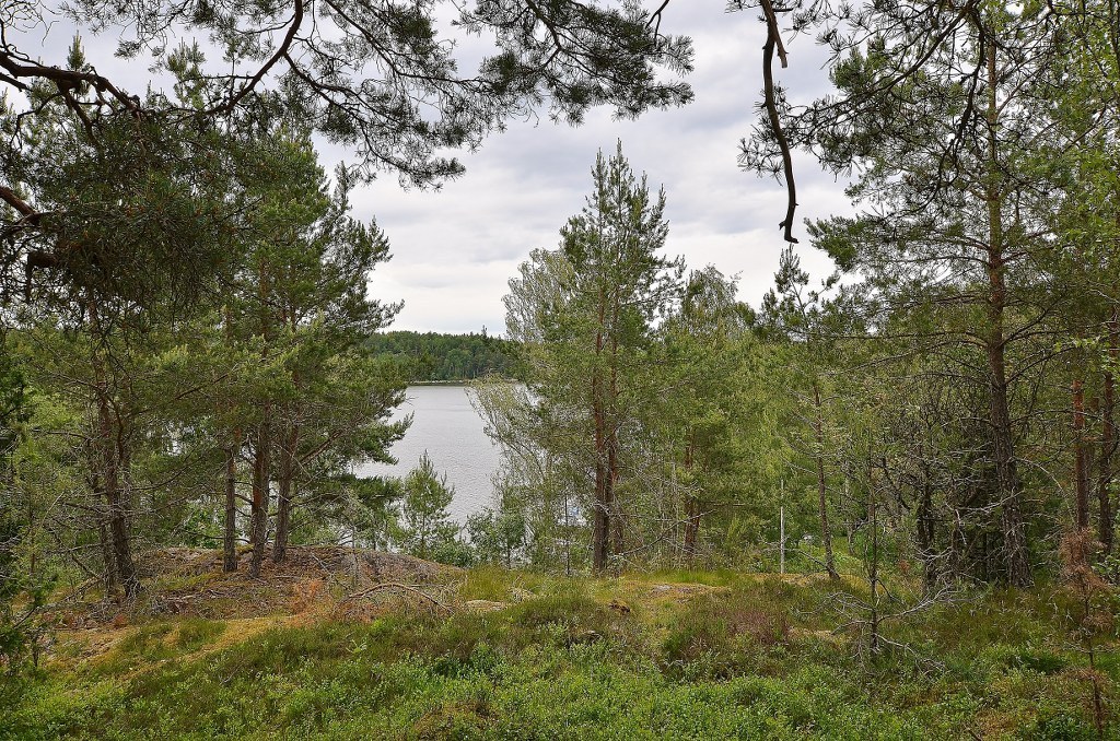 Kungshatt Kungsborg – bild 5