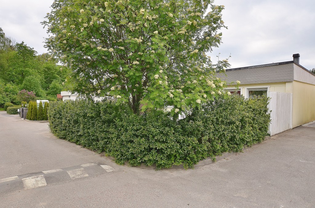 Väpnarvägen 44 – bild 5