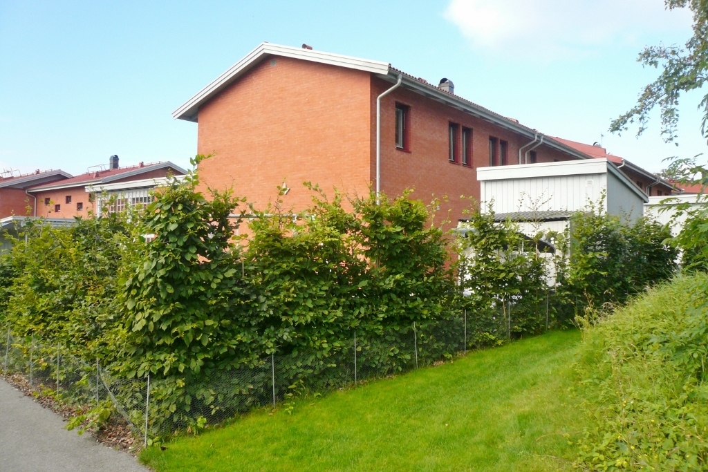 Svensagatan 21 – bild 3