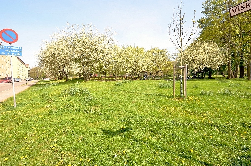 Viskgatan 6 B – bild 3