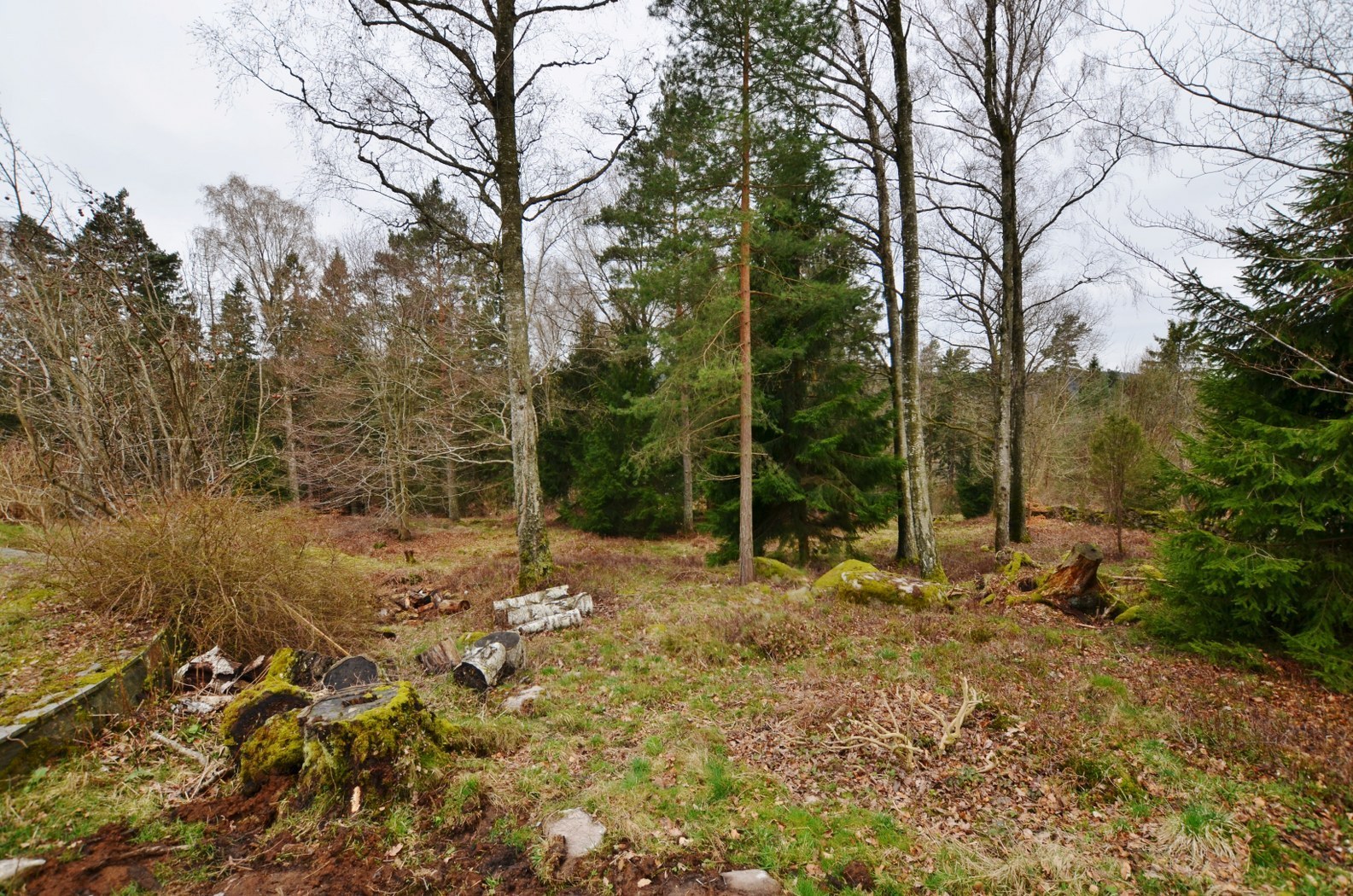 Klockliden 5 (1) – bild 3
