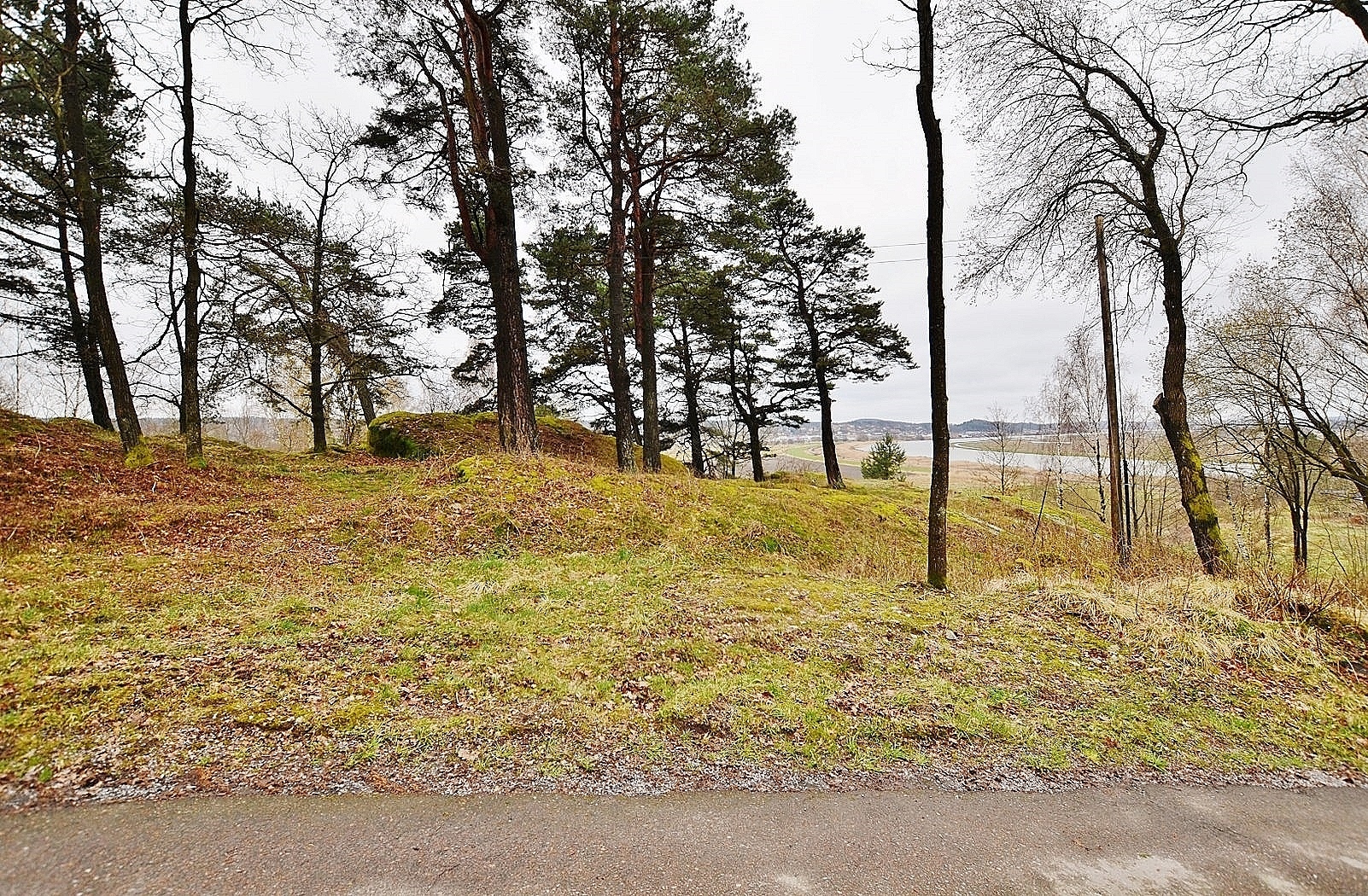 Kattleberg 257 – bild 3