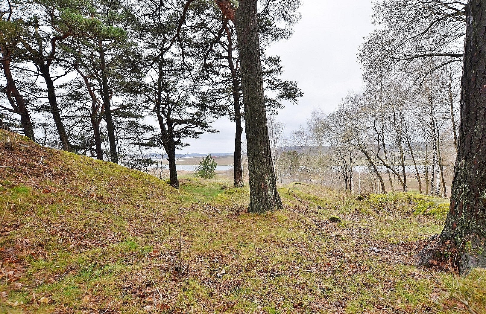 Kattleberg 257 – bild 4