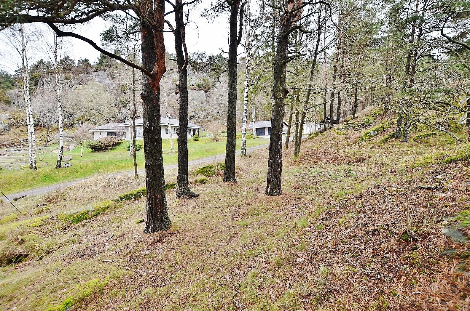 Kattleberg 257 – bild 6