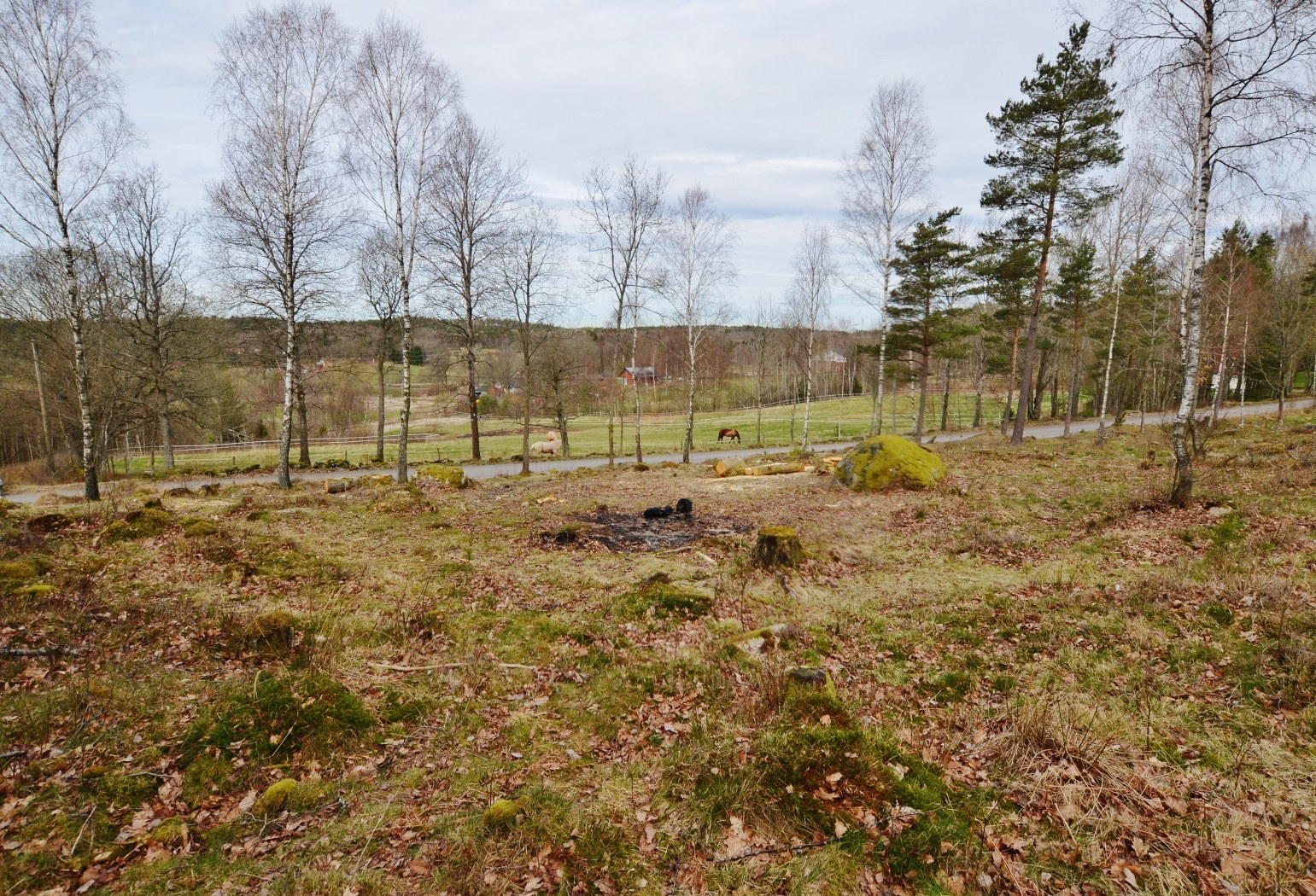 Relsbo 280 (2) – bild 6
