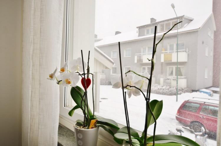 Fiskaregatan 4C – bild 7
