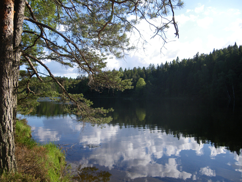Nordgärdesvägen 7 A – bild 4