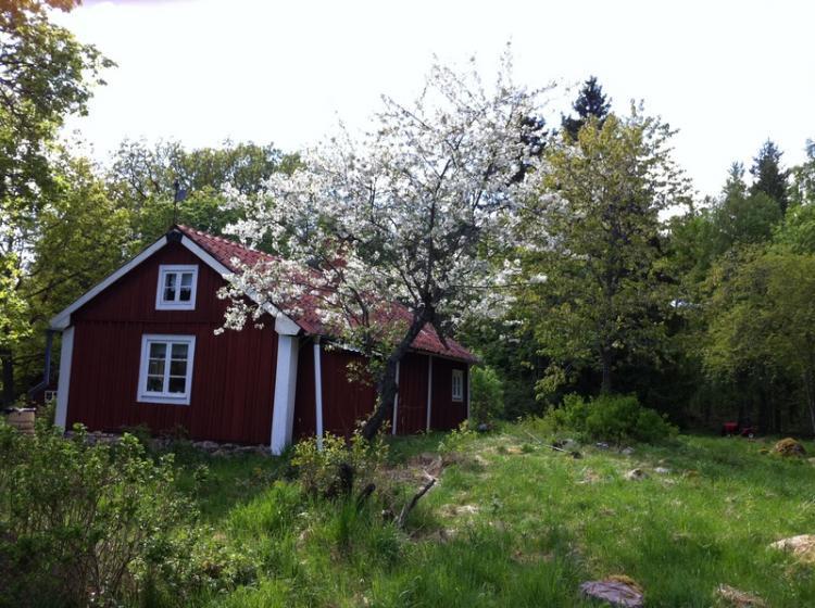 Kroberga Karlåker – bild 7