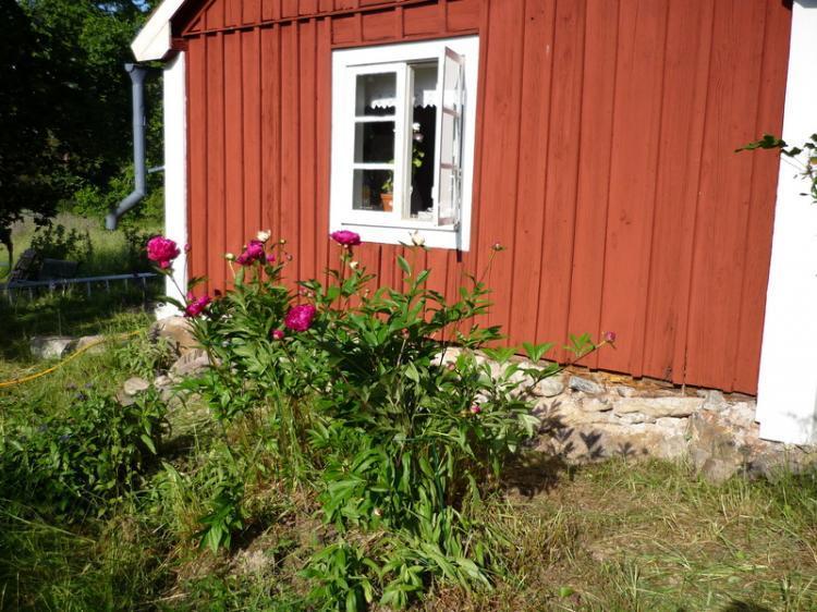 Kroberga Karlåker – bild 5