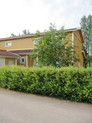 Stekelgatan 31 – bild 8
