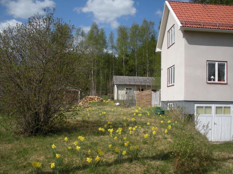 Sunnanhed Landsvägen 125 – bild 6