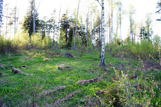 Snorpvägen 51 – bild 8