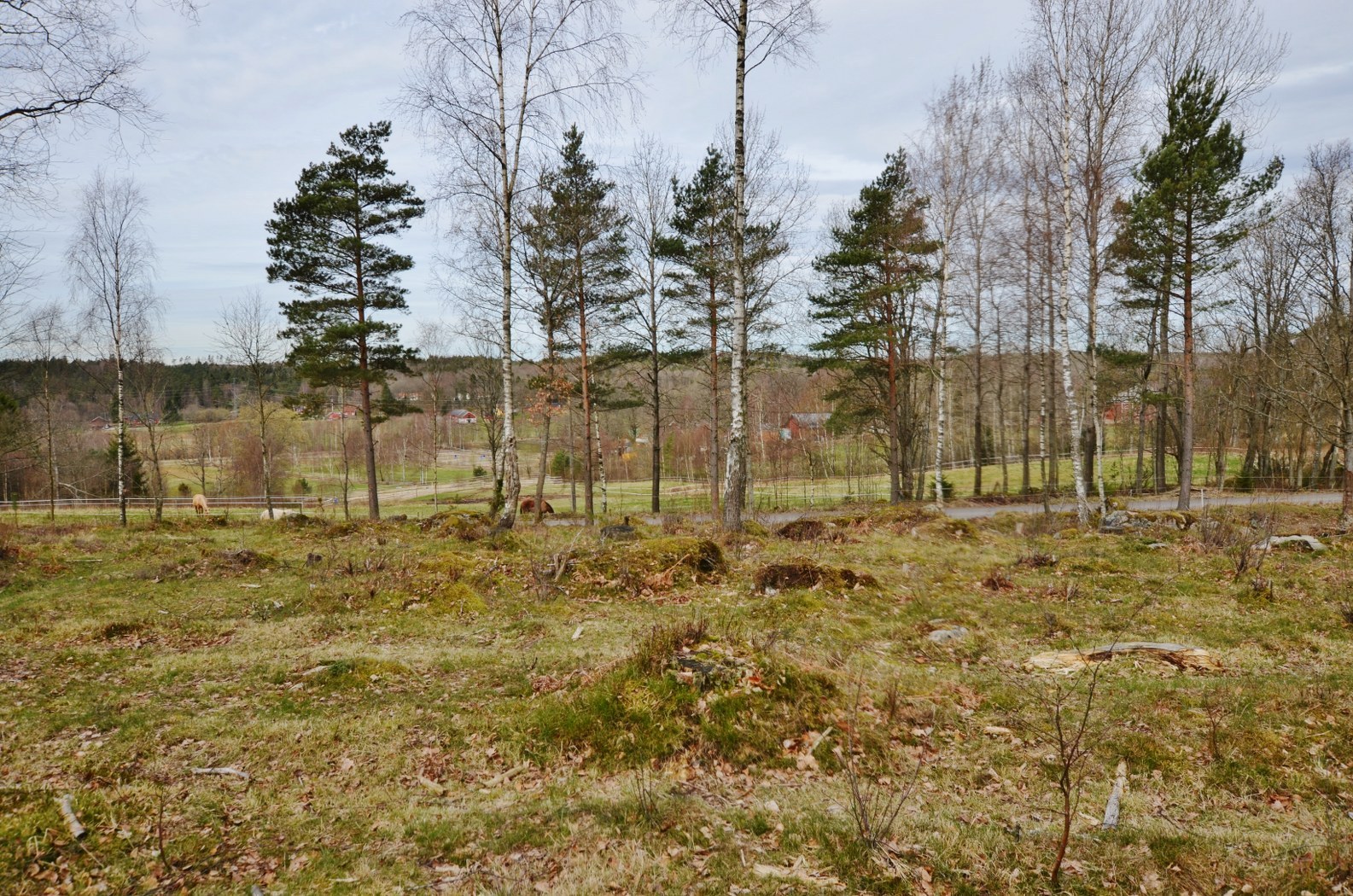 Relsbo 1:14 – bild 6