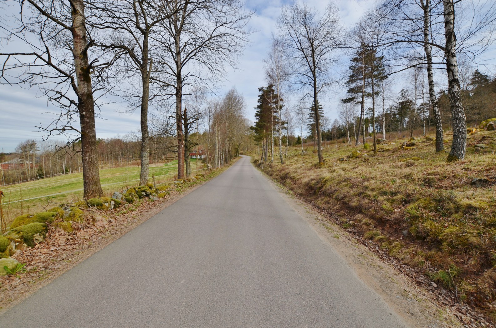 Relsbo 1:14 – bild 3
