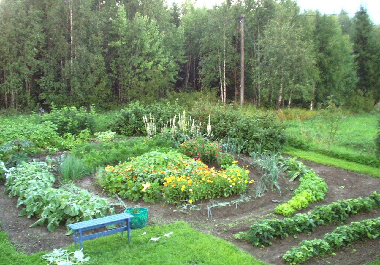 Degermyr 1 – bild 4
