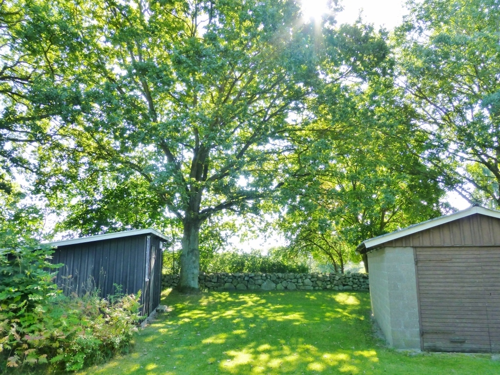 Orranäs 442 – bild 8