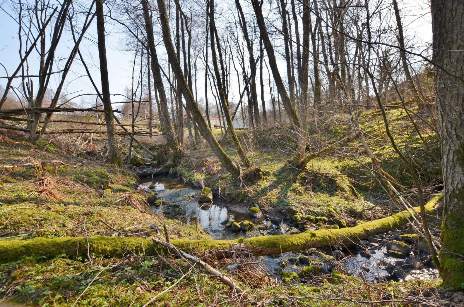 Bro-Fiskebäck 412 – bild 4