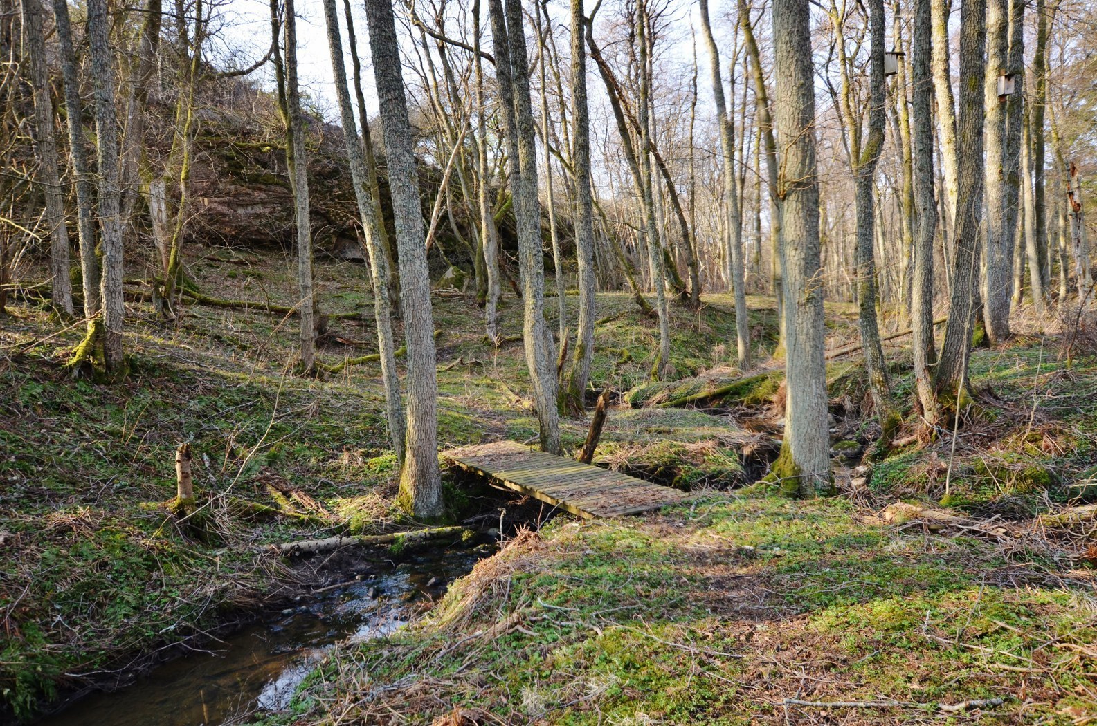 Bro-Fiskebäck 412 – bild 3