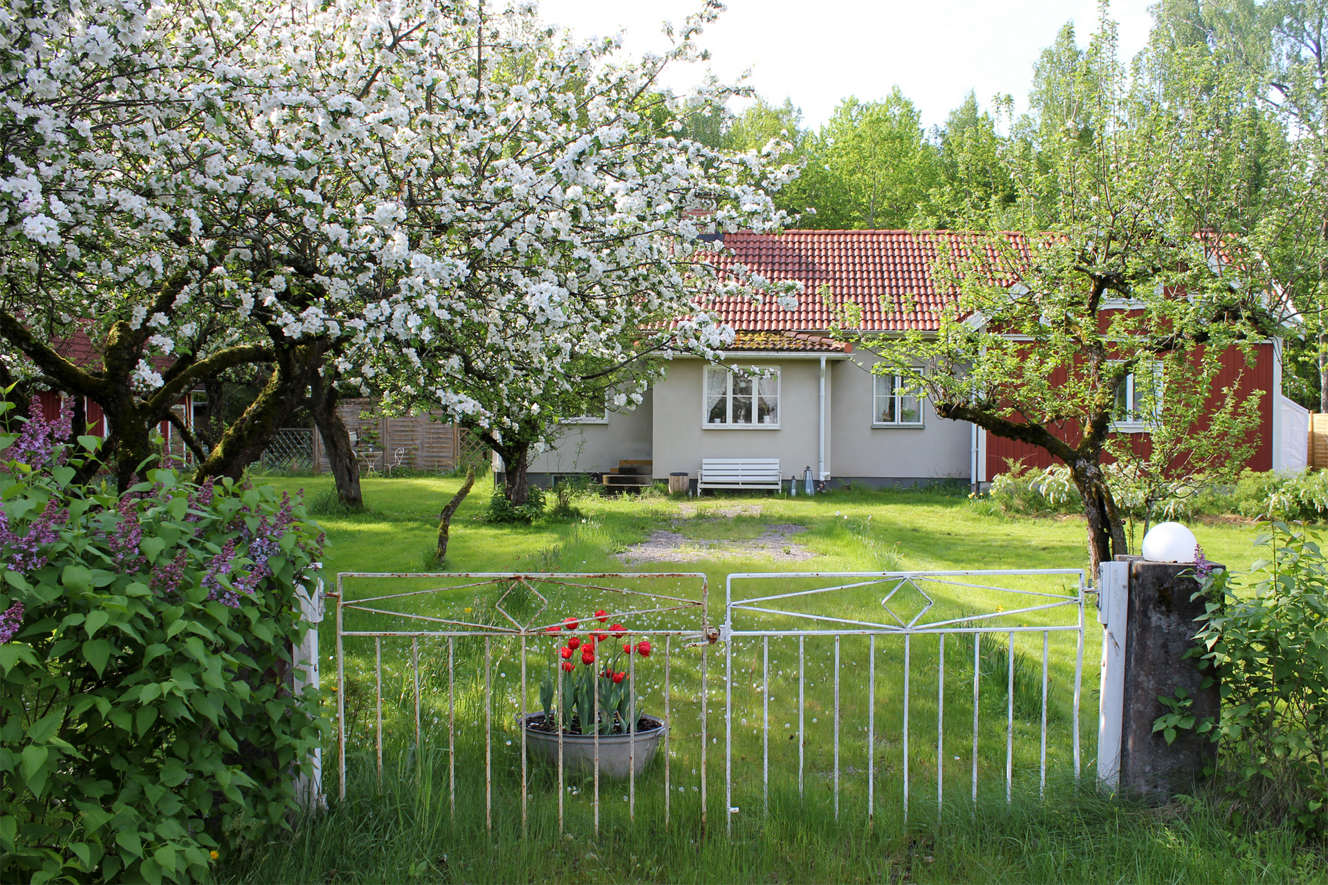 Säter Liljebacken – bild 7