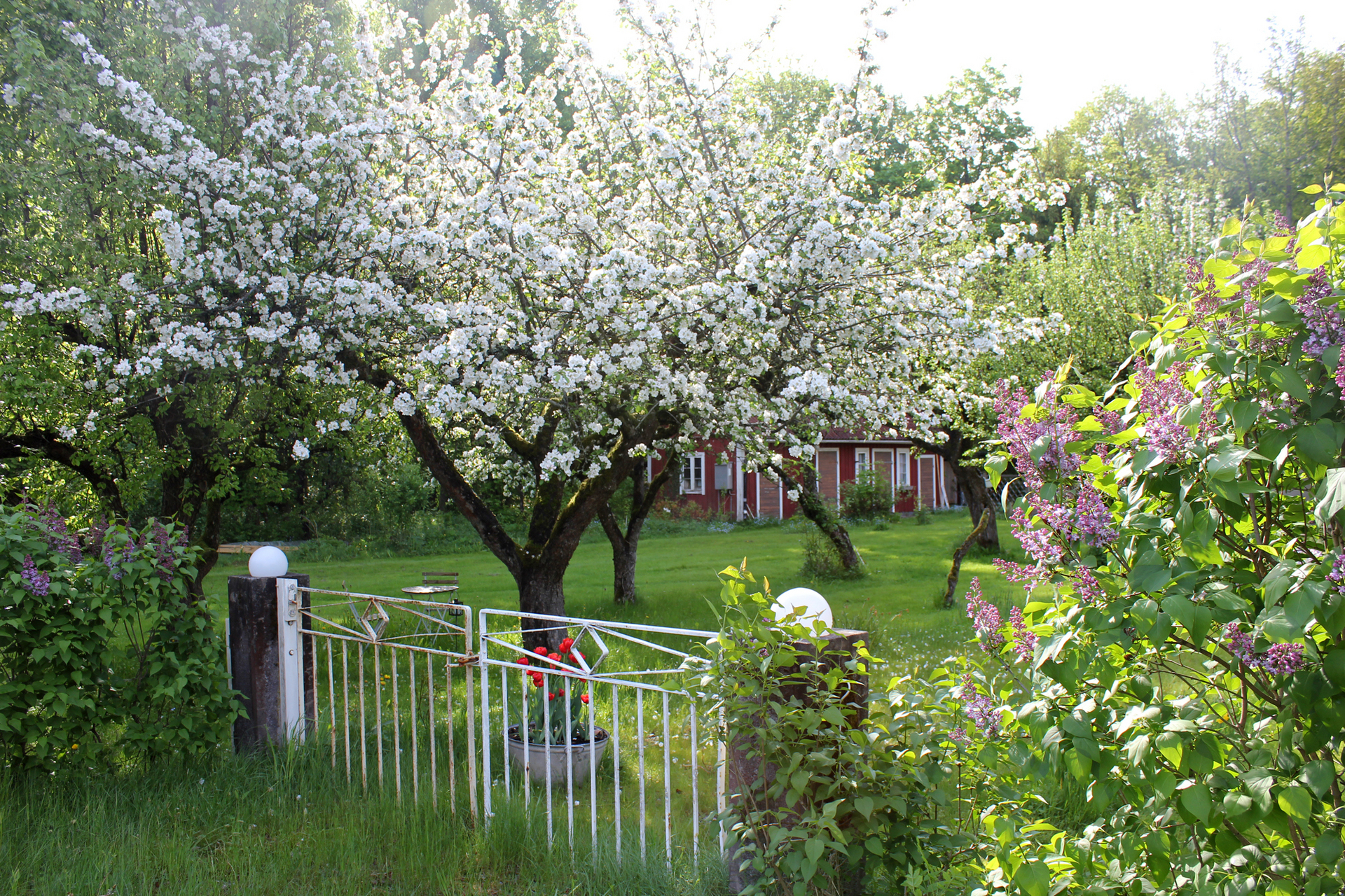Säter Liljebacken – bild 8