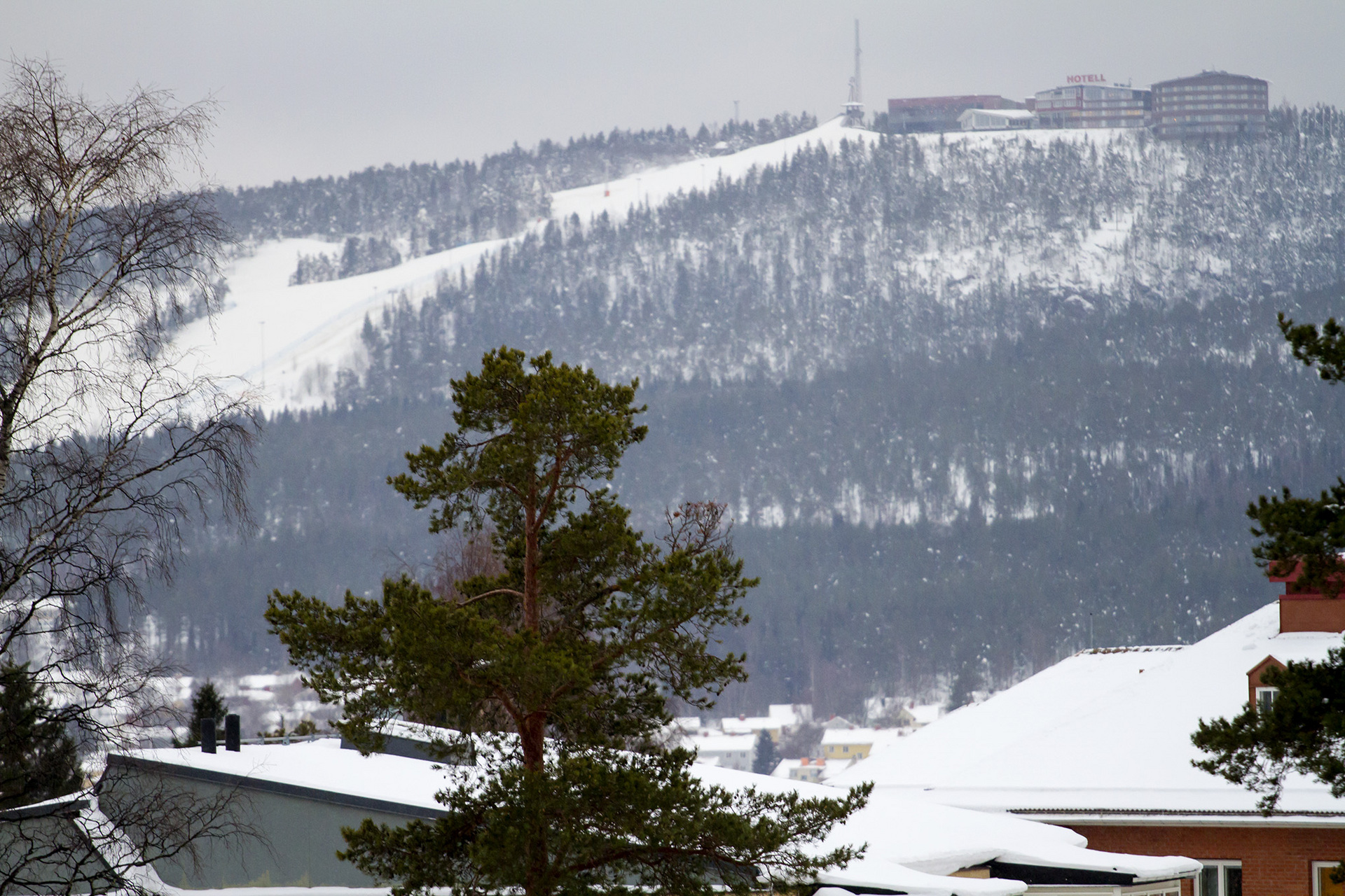 Tallrotsgatan 23 – bild 6