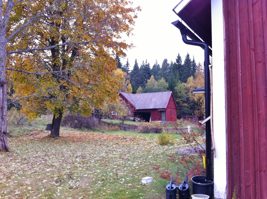 Tolgs Yxnanäs Alebäck – bild 6
