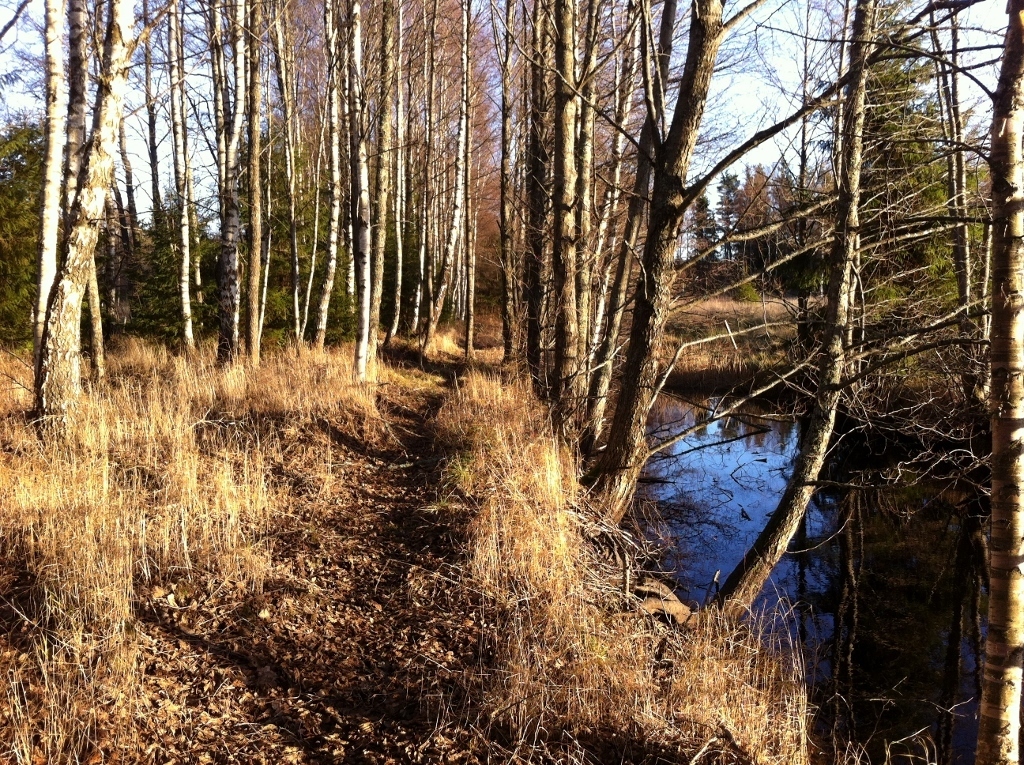 Tolgs Yxnanäs Alebäck – bild 7