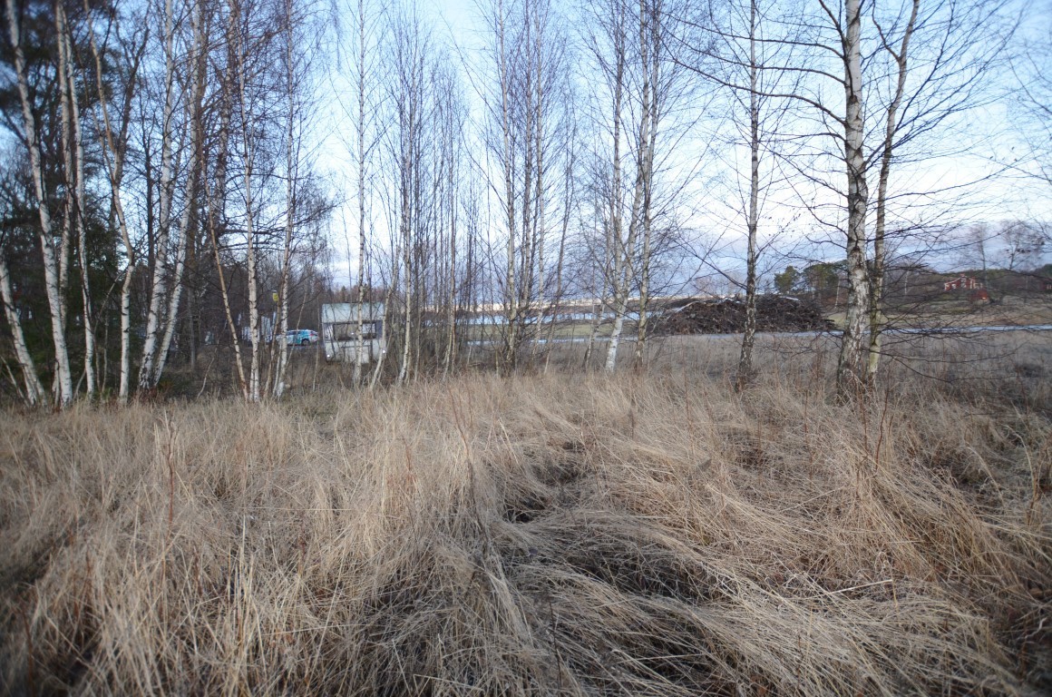 Vallhalla – bild 7