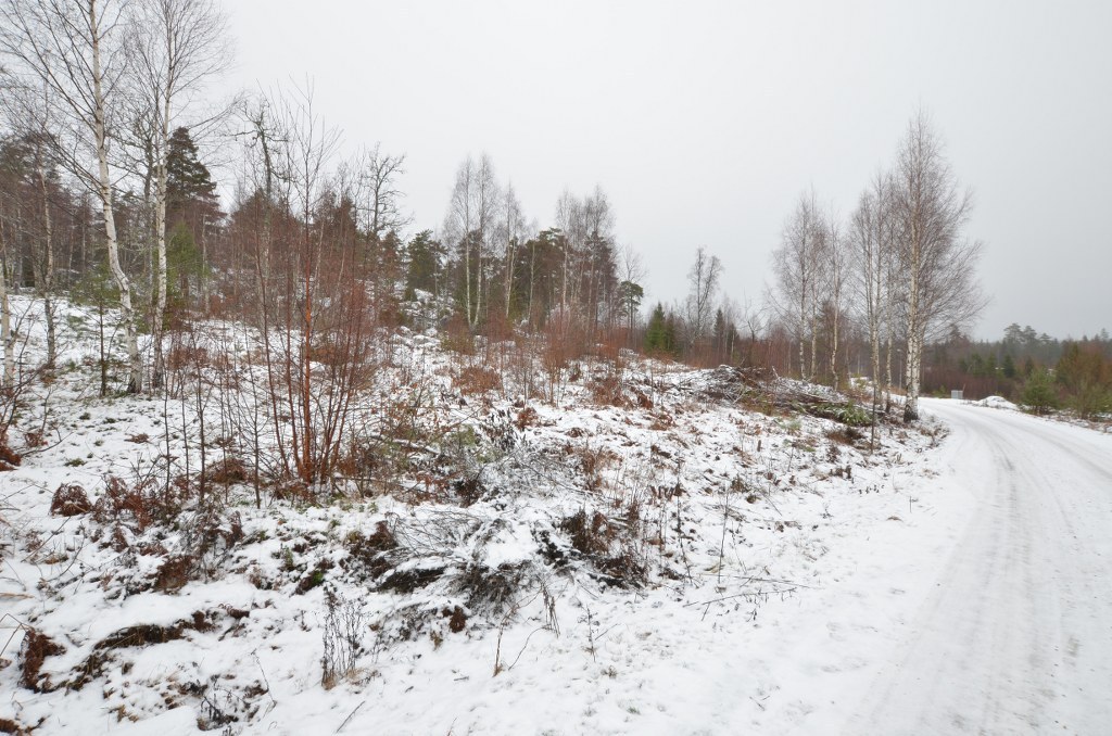 Södra Skogen 27 – bild 3