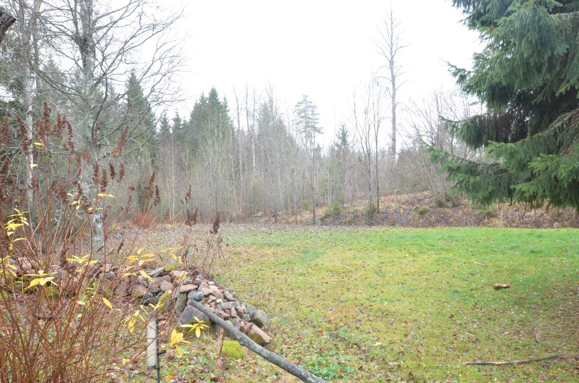 Forsbol Svedjelandet 1 – bild 4