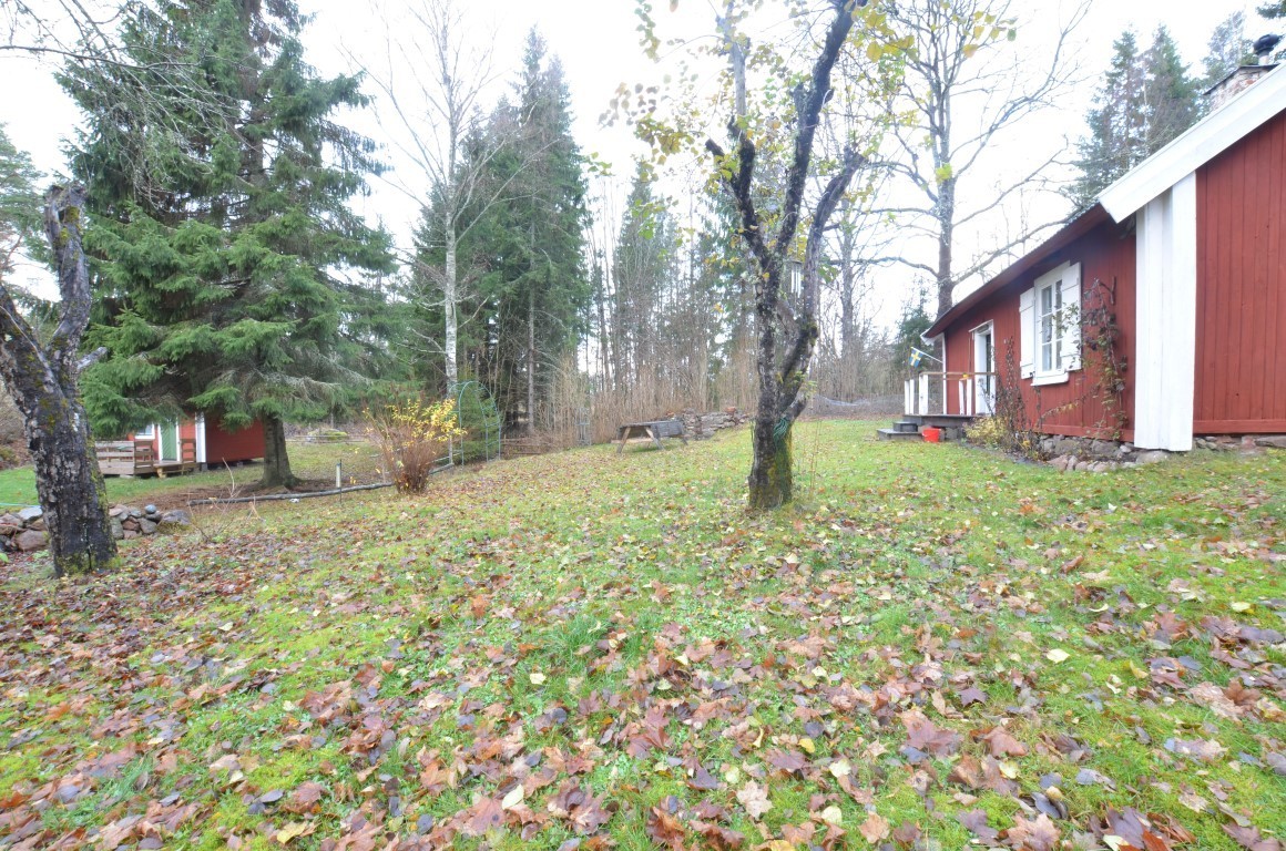 Forsbol Svedjelandet 1 – bild 8