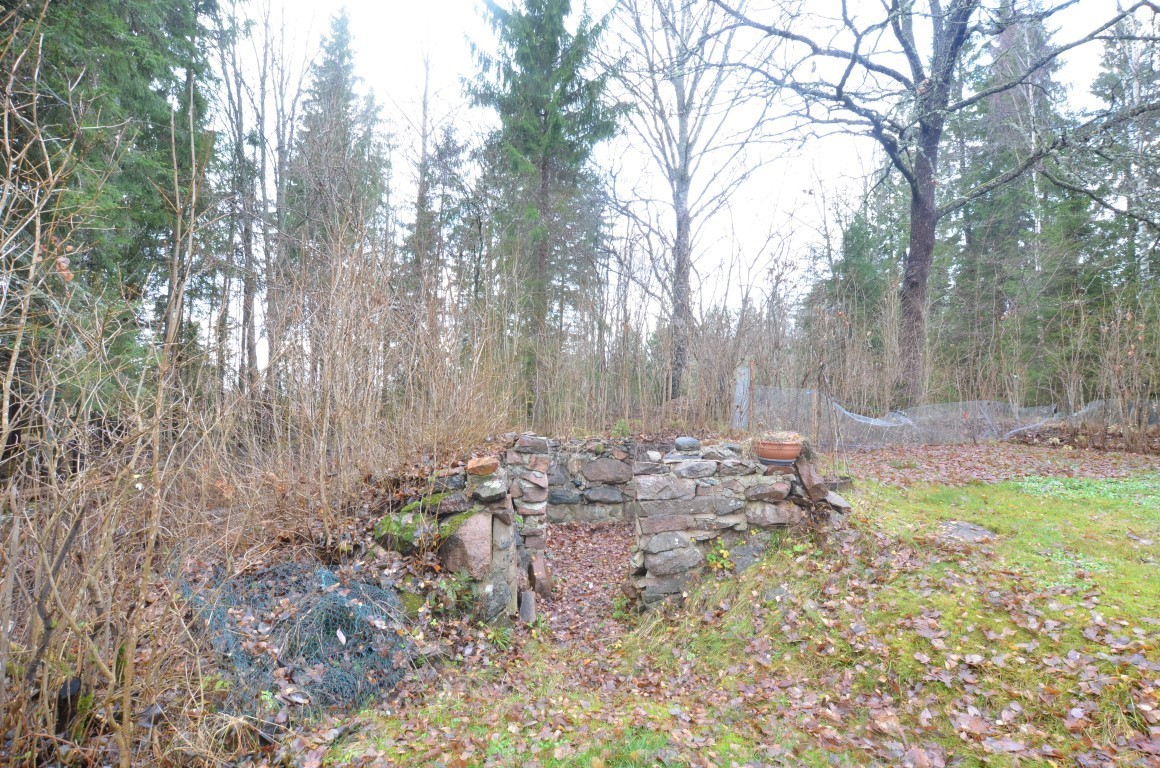 Forsbol Svedjelandet 1 – bild 5