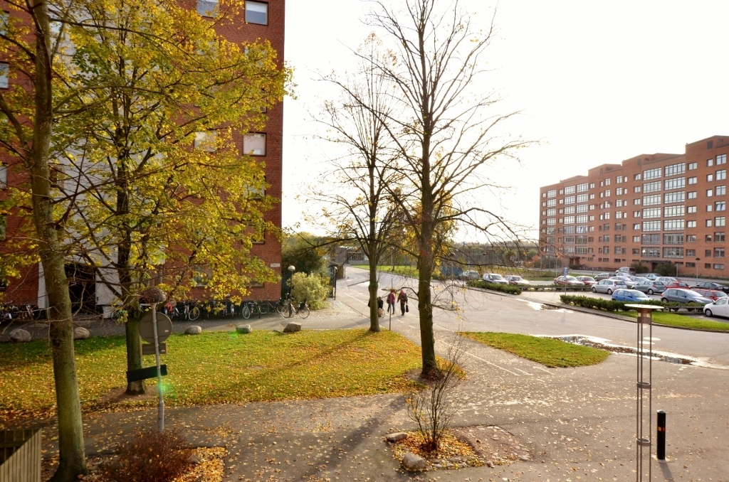 Tordönsvägen 4 P – bild 8