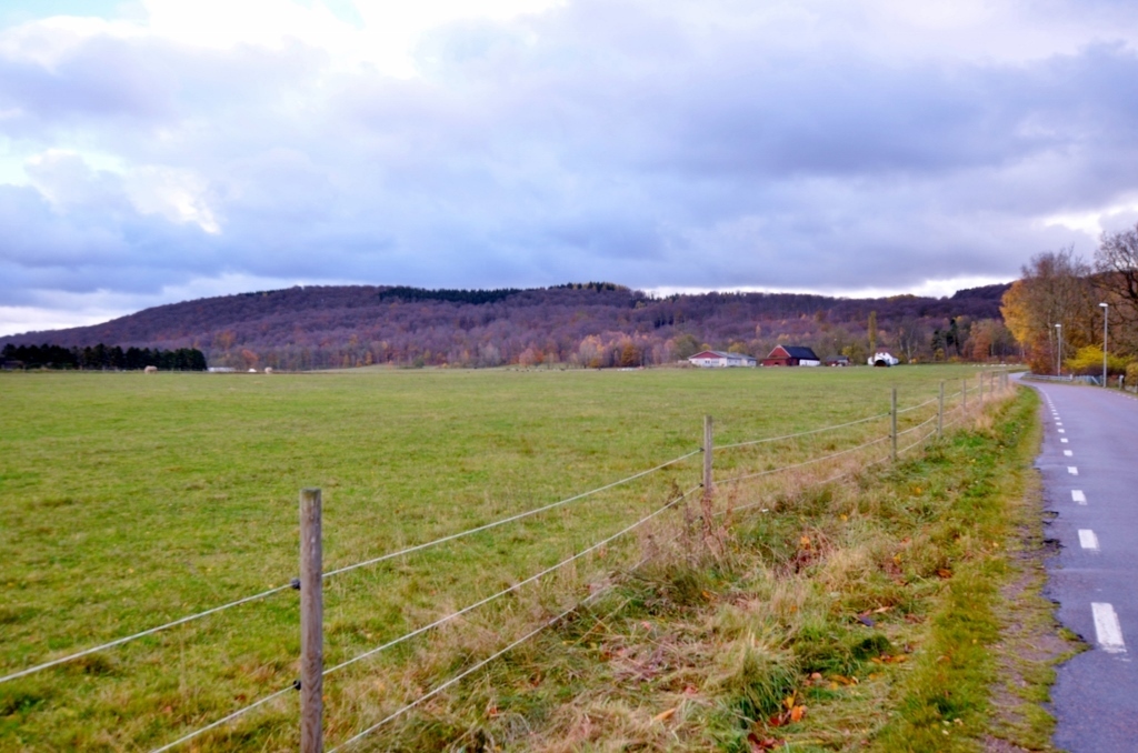 Klintarp 2282 – bild 6