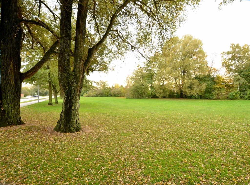 Vintergatan 2 C – bild 8