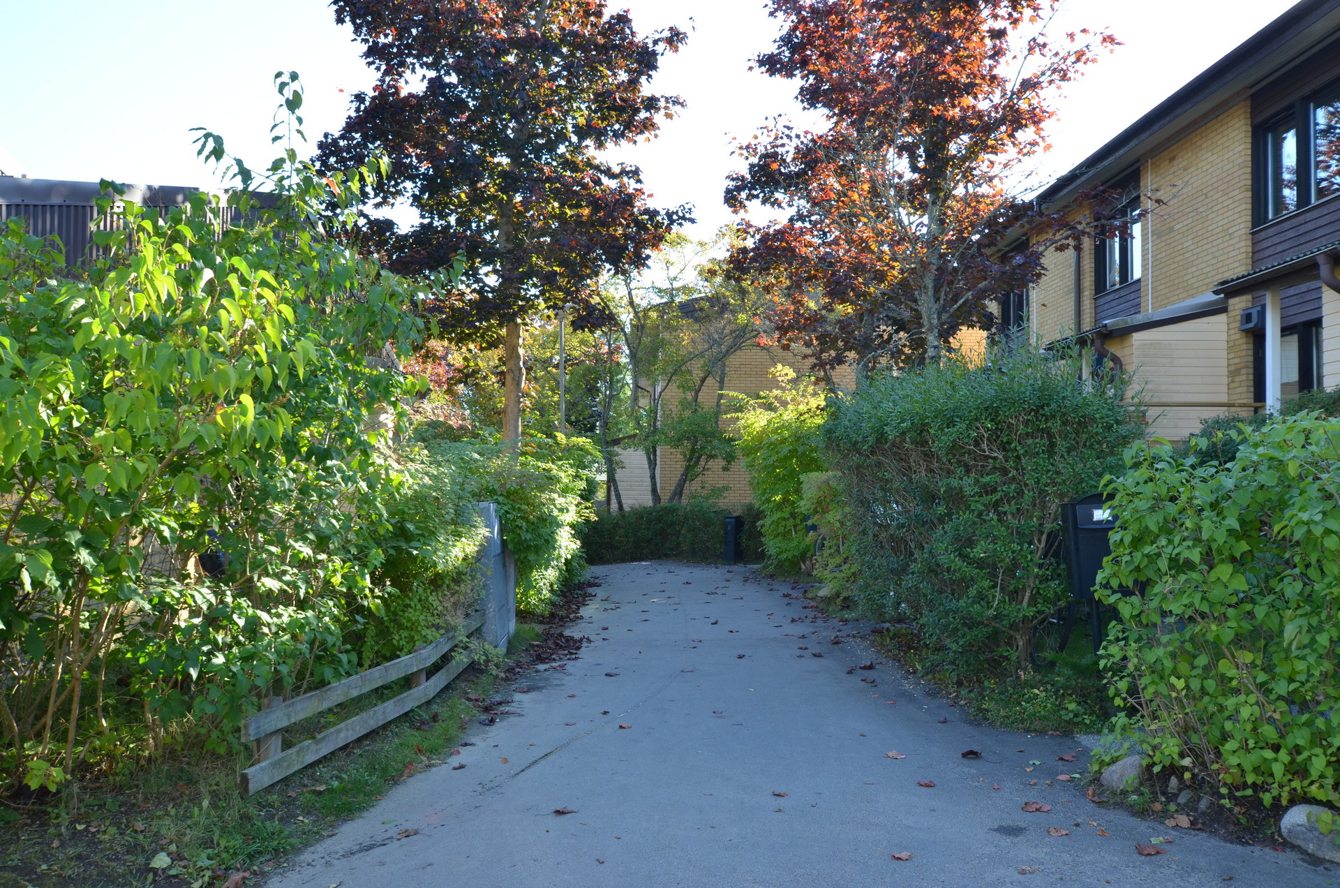 Forellgränd 12 – bild 3