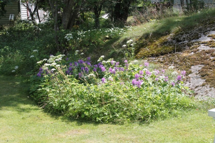 Forellstigen 9 – bild 6