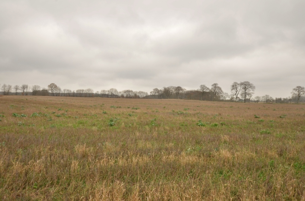Eket – bild 4