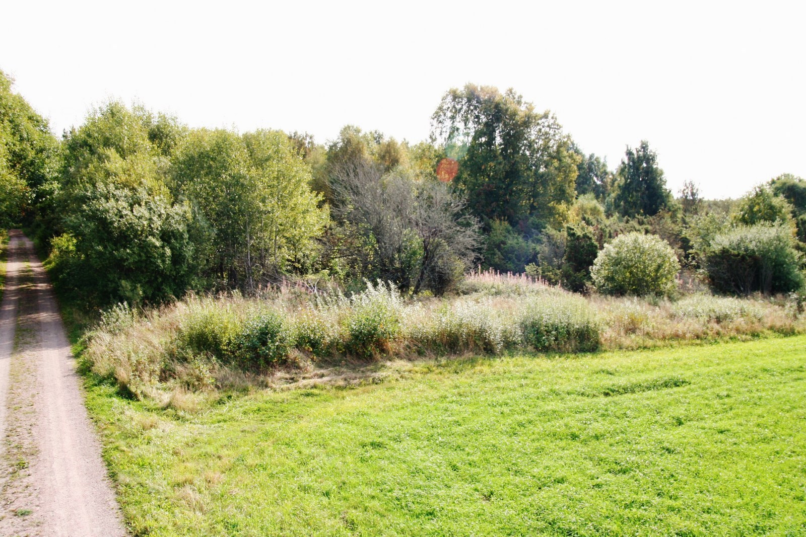 Sörslättsvägen, Array Gunnesby 1:15 – bild 4