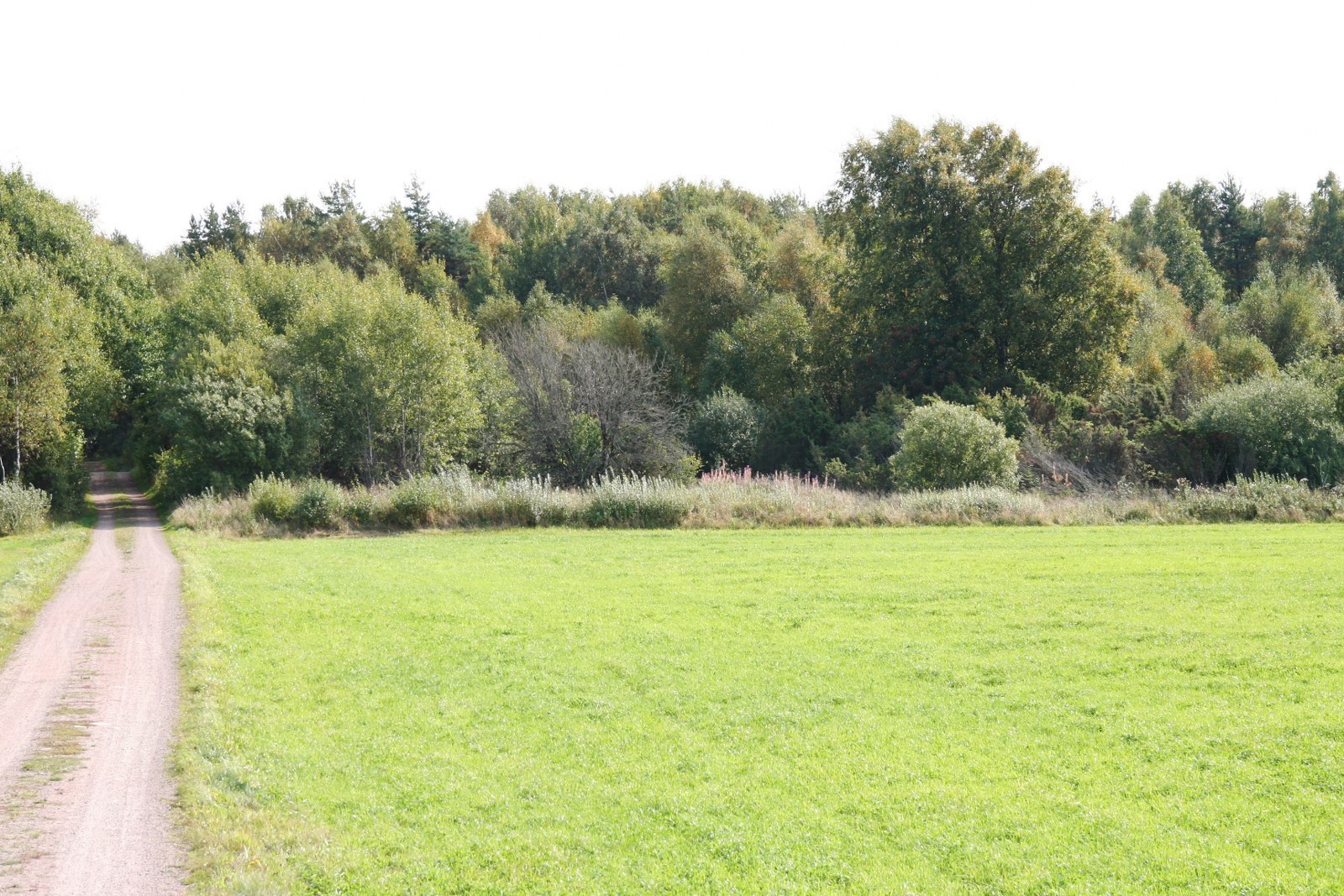Sörslättsvägen, Array Gunnesby 1:15 – bild 3