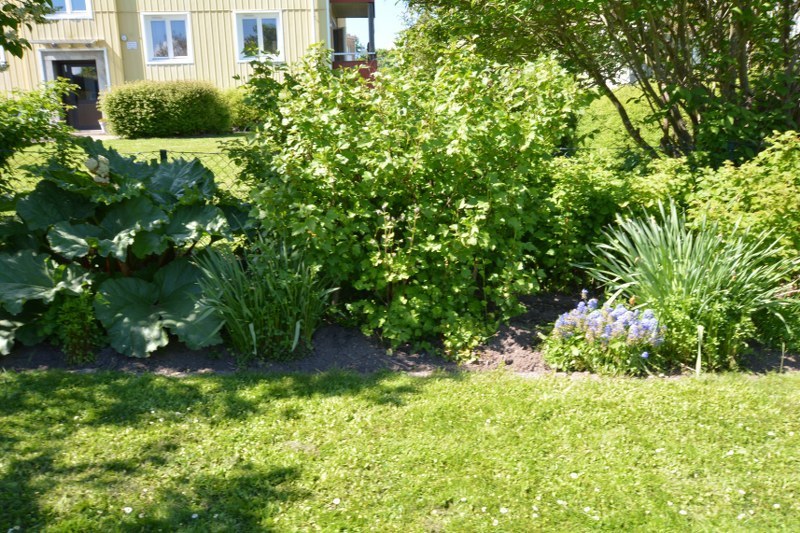 Almstagatan 6 – bild 4